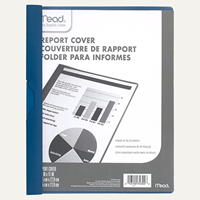 REPORT COVER MEAD