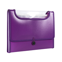 Image of EXPANDING FILE WITH WINDOW -  3