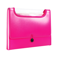 Image of EXPANDING FILE WITH WINDOW -  6