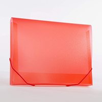 DOCUMENT HOLDER FRUIT SERIES -  2