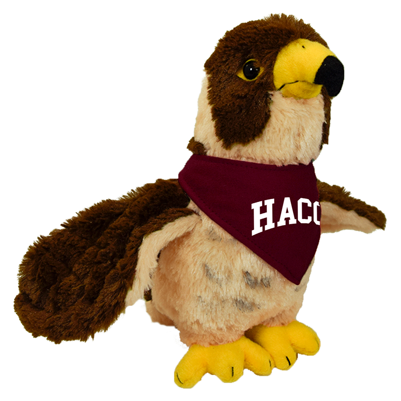 Hawk With HACC Bandana (SKU 166825285000039)