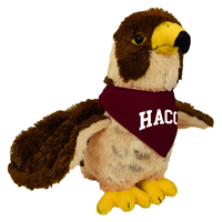 Hawk With HACC Bandana