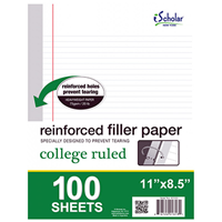 Filler Paper Reinforced 100 Ct