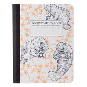 Decomposition Lined Comp Book