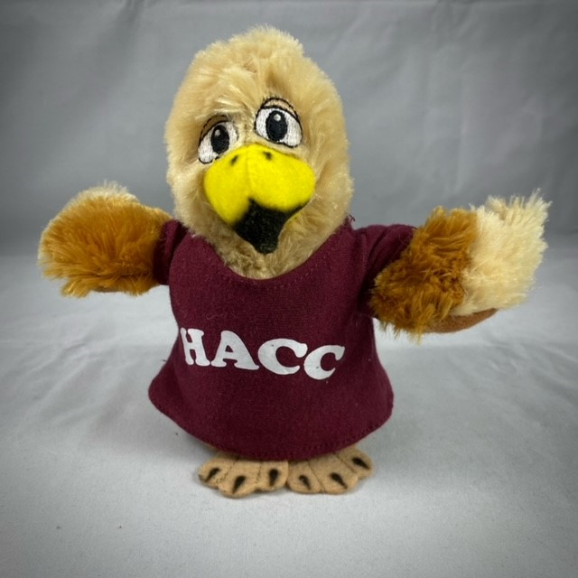 Lil Squirt Hawk With HACC Tee (SKU 167338555000039)