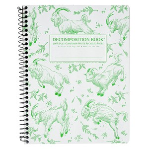 Decomposition Lined Spiral Notebook - main view