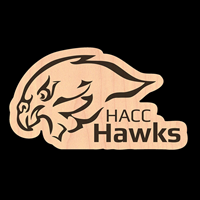 HACC Hawk Head Wooden Decal