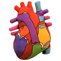 HEART MODEL
