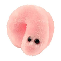 POX (SYPHILIS)
