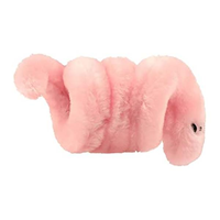 POX (SYPHILIS)