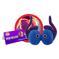 Image of TESTICLES -  1