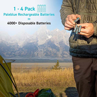 Image of PALEBLUE RECHARGEABLE LITHIUM ION BATTERY 4 PACKS -  3