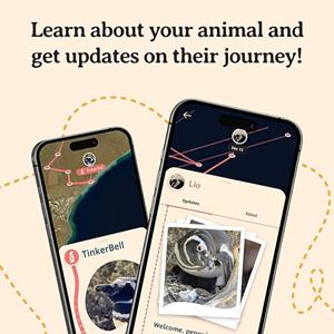 Image of PASSAGE PENGUIN BRACELET -  2