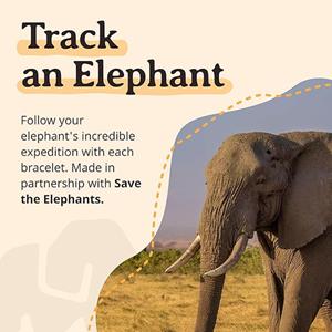 EXPEDITION ELEPHANT BRACELET -  4