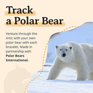 Image of VENTURE POLAR BEAR BRACELET -  4