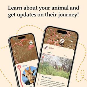 Image of TREK GIRAFFE BRACELET -  3