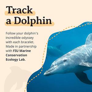 ODYSSEY DOLPHIN BRACELET -  1