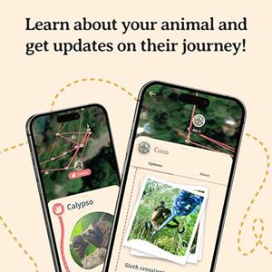 Image of WANDER SLOTH BRACELET -  3