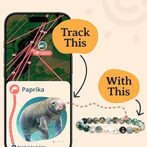 DRIFT MANATEE BRACELET -  2