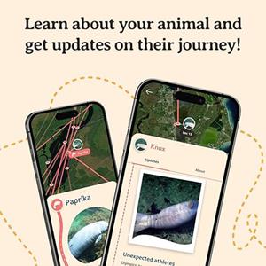 DRIFT MANATEE BRACELET -  3