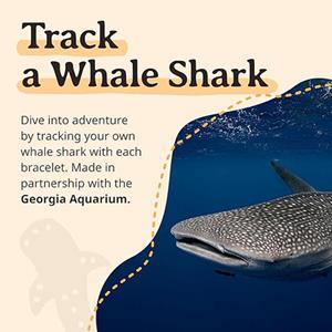 Image of QUEST WHALE SHARK BRACELET - 4 (SKU: 168864905000120) Image of QUEST WHALE SHARK BRACELET - 4