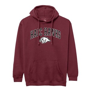 HACC Hawks Arched Hawkhead Pullover Hoodie - main view