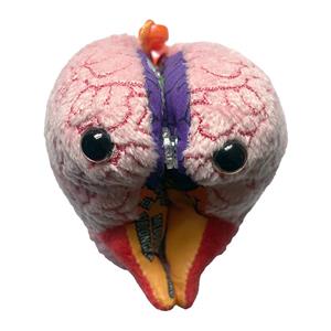 Image of Brain Model Keychain