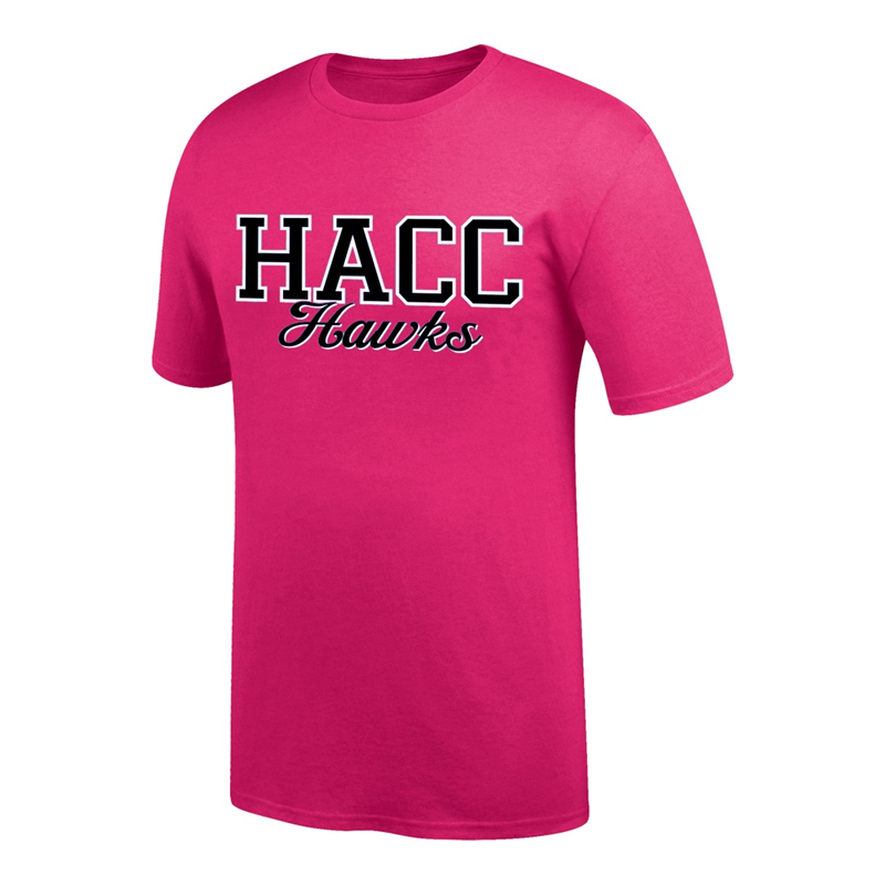 HACC Hawks Script Tee